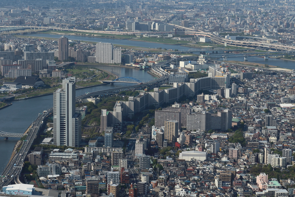 スカイツリーより。