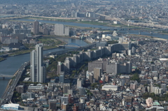 スカイツリーより。