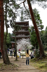 五重塔醍醐寺
