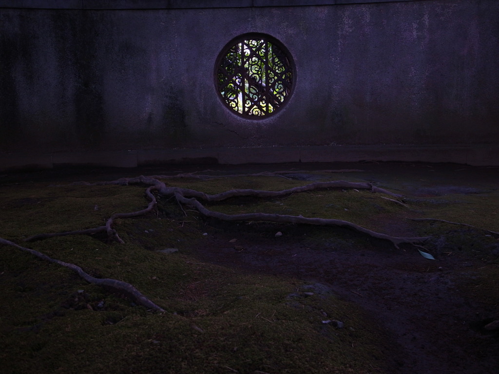 窓