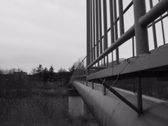 R0010819