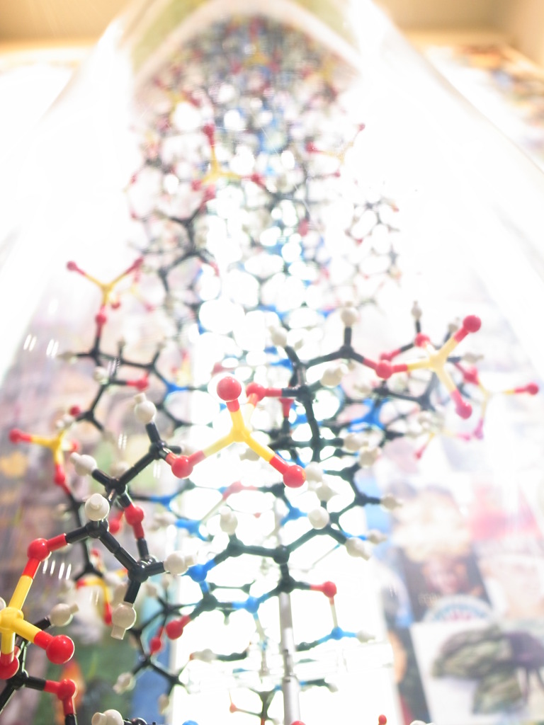 DNA