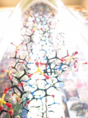 DNA