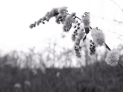 R0010815