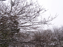 PC073755