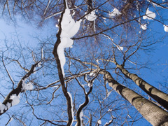 P1106220_1
