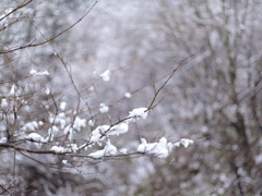 PC073743