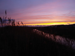 夕暮れ