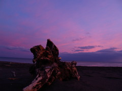 PC084020