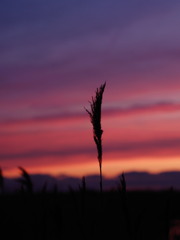 夕暮れ・・・