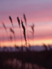 PC084038