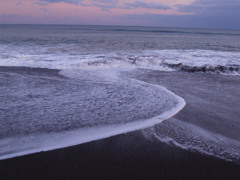 PC083982