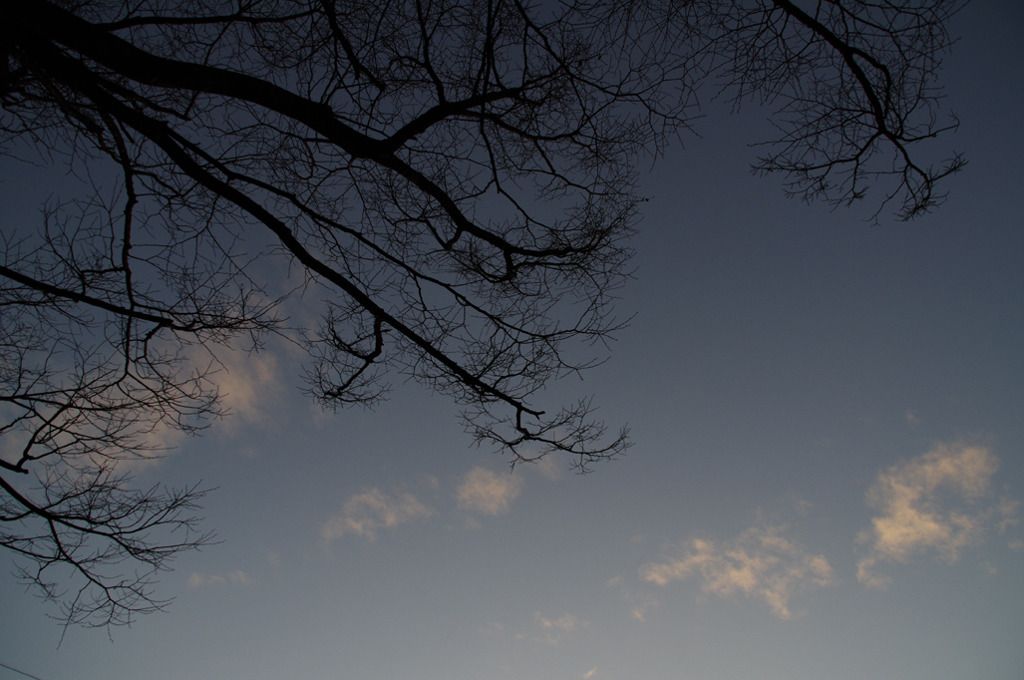 Winter-空