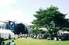 grass stage