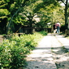 哲学の道