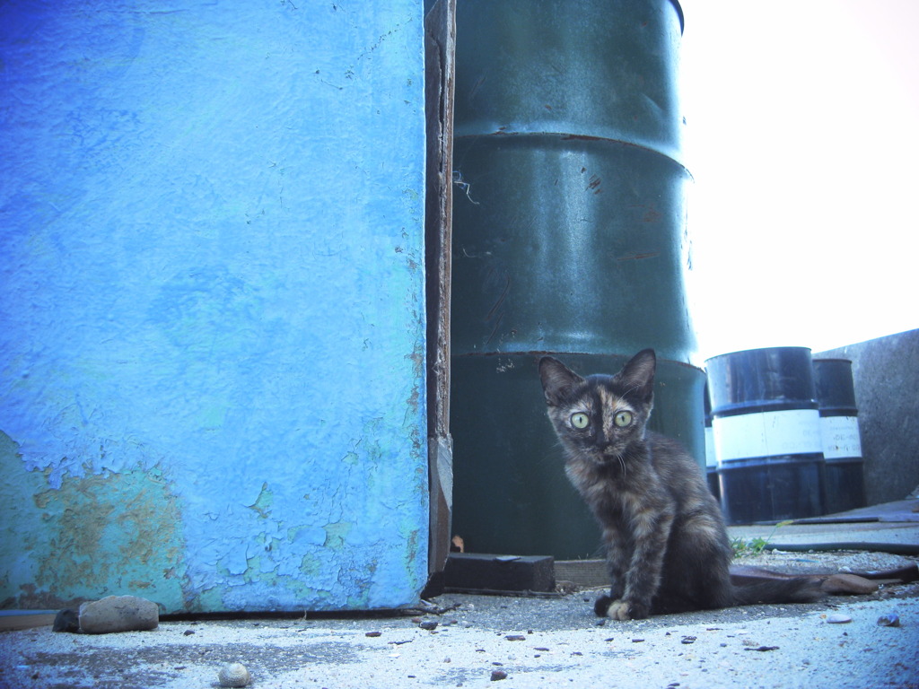 そんな見つめないで。