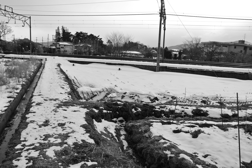 田と線路