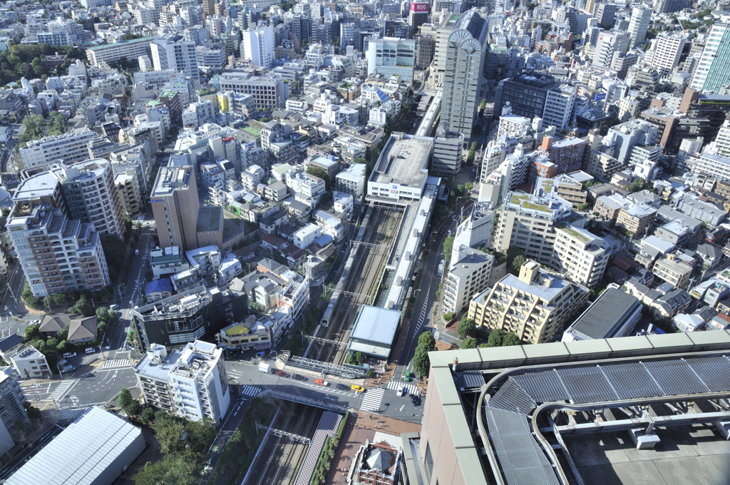 流路
