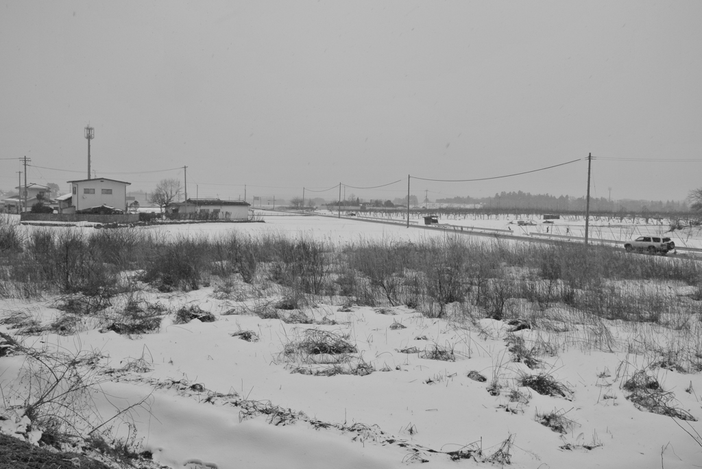雪Ⅱ