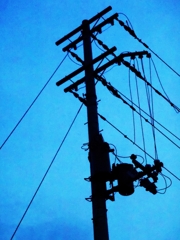 電信柱