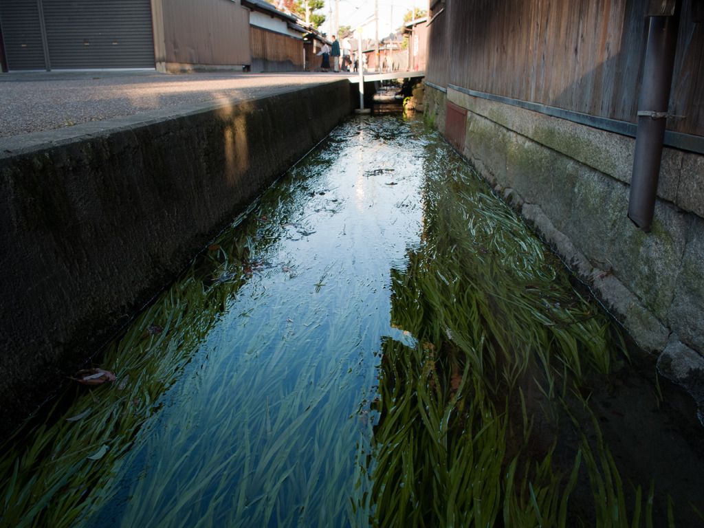 用水路