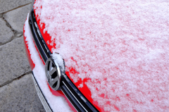 ４月の雪