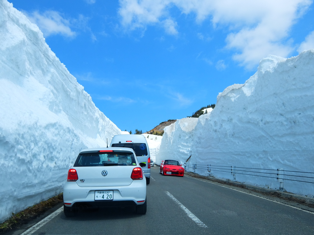 志賀草津道路の雪の回廊
