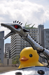 我が道を行く