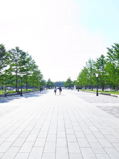 春の終わり
