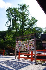 お願い