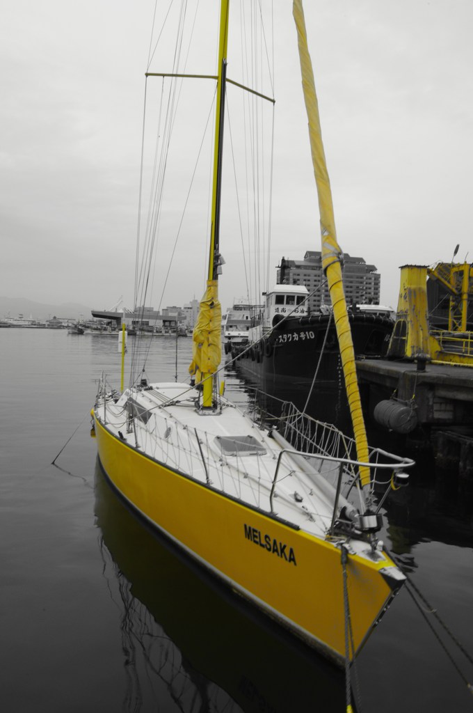 Sailing yachts（Yellow）
