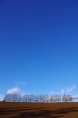 丘の風景1 