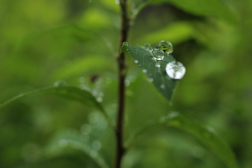 水晶の誕生