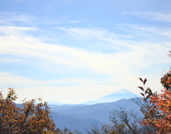 奥多摩からの薄富士