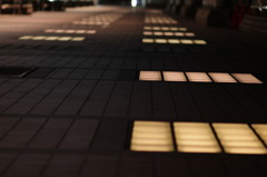 照らす
