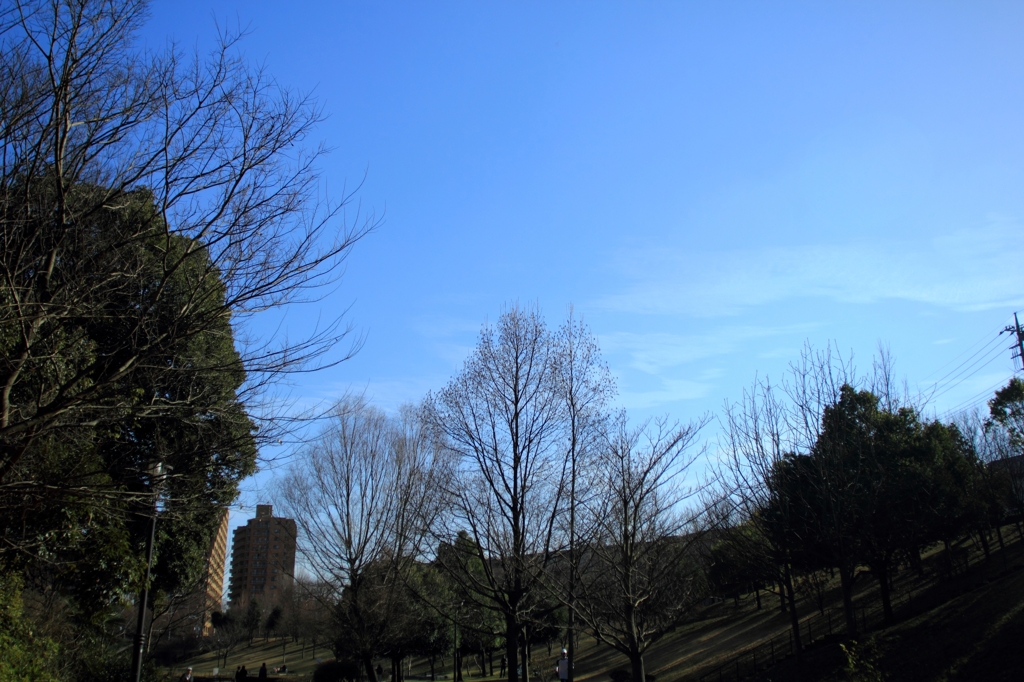 散歩の空