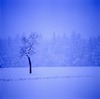 雪