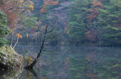 錦秋の湖　2