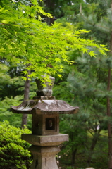 古寺と新緑　2