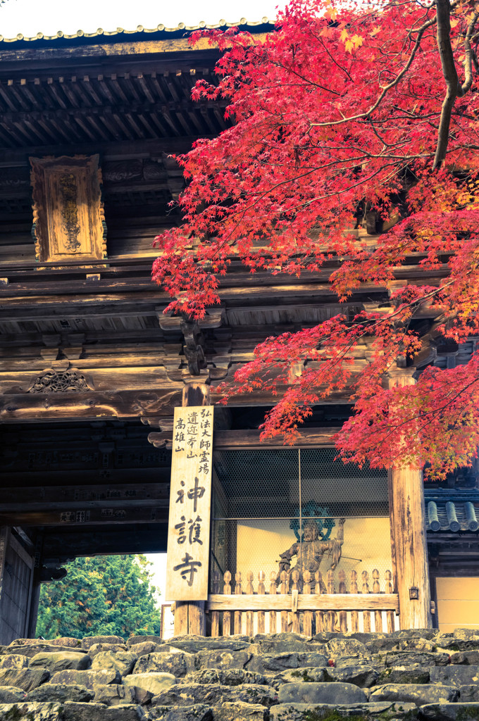 神護寺山門