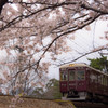 桜と阪急電車