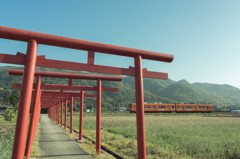 端午の朝
