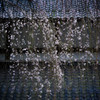 桜雨 日本の風景