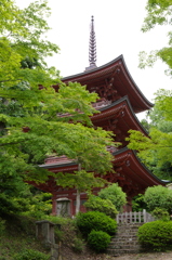 古寺と新緑　1
