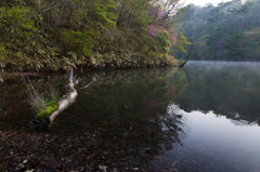 水辺のコントラスト