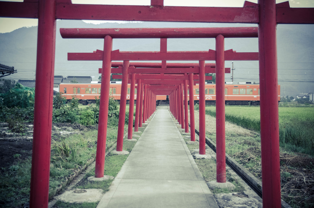 境内を走る 1