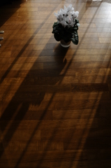 シクラメン（２）