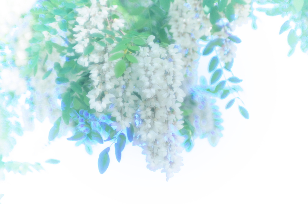 ancient blue