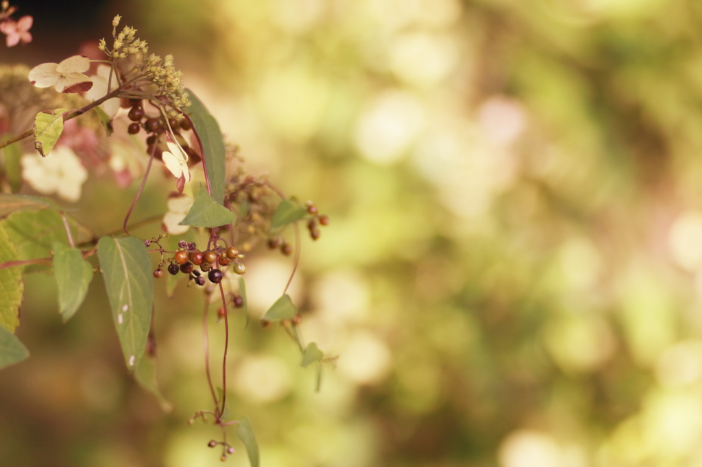 autumn　jewelry