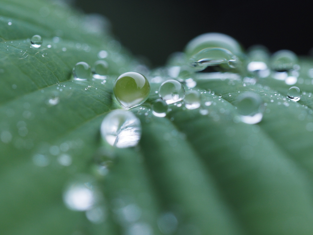 雨音